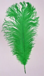 Green Ostrich Feather 16-20 inch Long per Each