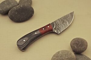 Collector Handmade Damascus Blade RoseWood Handle Fixed Blade Hunting Knife EDC