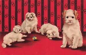 Poodle Puppies Puppy Dog Helena Maguire Weehawken NJ Cancel Vtg Postcard D61