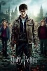 Harry Potter And The Deathly Hallows Part 2 - Movie Poster (Regular) (24