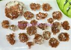 Wholesale Lot 2 Lbs Natural Aragonite Cluster Crystal Healing