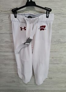 Wisconsin Badgers Game Used 