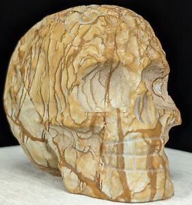 Picture Stone Skull Carving Crystal Gemstone Large Big Huge