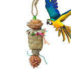 Parrot Foraging Toy Natural Wood Bird Foraging Toys for Chewing Multifunctional
