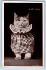 Portsmouth England Postcard RPPC Photo Mary Ann Anthropomorphic Cat Kitten c1910