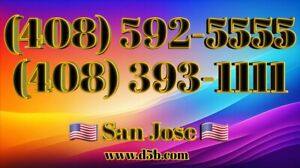 408 vanity Easy phone number (408) 592-5555/(408) 393-1111 UNIQUE