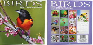 Birds 2024 Wall Calendar 12