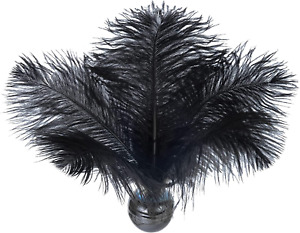 20pcs Black Ostrich Feathers Plumes Bulk for Wedding Party Home Decor 8-10 inch