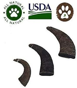 Top Dog Chews 3 Pack Natural Water Buffalo Horns Edible Treats