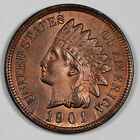 1901 Indian Head Cent.  BU.  196464