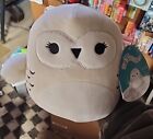 Squishmallows Harry Potter 6” Hedwig New With Tags