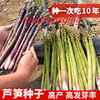 Featured fruit seeds for planting/Cucurbit  绿芦笋种子孑紫色激情芦笋种籽四季高产 200粒