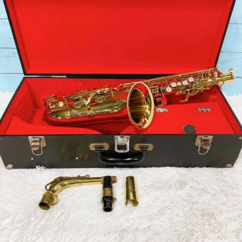 New ListingYanagisawa alto saxophone hard case, unknown model number