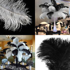 50/20pcs Natural Ostrich Feathers Bulk Wedding Party Decoration DIY Centerpiece