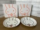 MIffy x Lawson Collaboration 60Th Anniversary Lunch Plate Pair JPN Limited Anime
