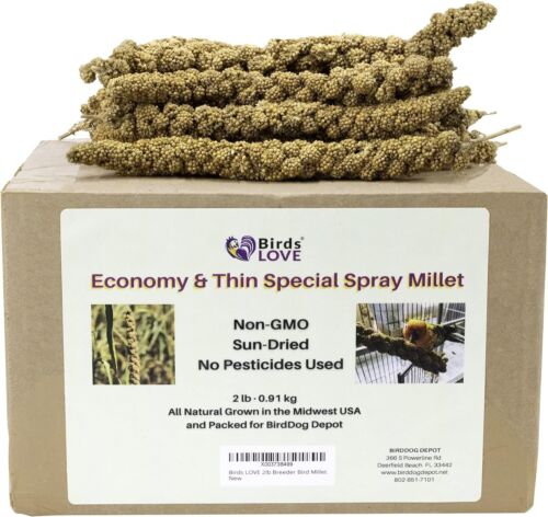Birds LOVE Economy & Thin Special Spray Millet - Natural Treat for Pet Birds 2lb
