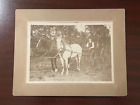 Antique Photo Large Format Early 1900's Two Horse & Buggy Driver Holding Reins