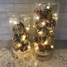 Glass Cylinder Vases Wedding Rustic Light Up Holiday Party Centerpieces Clear