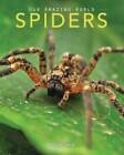 Spiders: Amazing Pictures  Fun Facts on Animals in Nature (Our Amazing W - GOOD