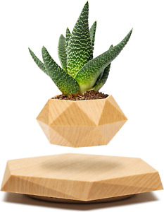 Levitating Plant Pot - Floating Plant Pot for Small Plants. Levitating Decor for