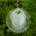 2 PCS Hanging Ball Flower Planter, Terrarium Landscape Bottle