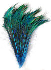 25 Pcs DYED PEACOCK SWORDS - TURQUOISE 20-25” Feathers Costume/Hats/Bridal/Pads
