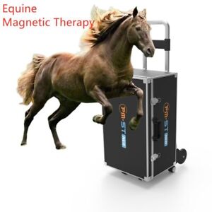 Animal Care Machine Physio MagnaWave PEMF Therapy for Pets Horses Treatment