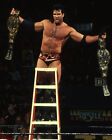 RAZOR RAMON 8X10 PHOTO WRESTLING PICTURE WWF WWE SCOTT HALL LADDER MATCH