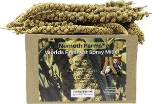 Nemeth Farms Freshest Sun-Dried Spray Millet Natural Treat for Birds Parrots 2lb