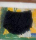 vintage lorraine sheer Nylon black panties Small