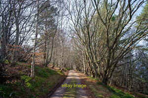 Photo 12x8 The road from South Sutor towards Cromarty Mains Cromarty/NH78 c2022