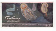 BIOLUMINESCENT JELLYFISH Vintage 1918 Deep Water Marine Life Trade Card