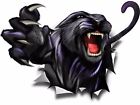 Panther rip vinyl graphic truck race car go kart window hood tire cover decal