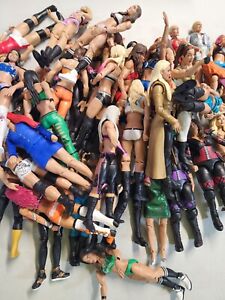 WWE Woman Action Figure Random Pick Mystery Pack Clearance Priced Mattel Jakks