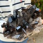 3.8LB Large Natural Black Smoky Quartz Crystal Cluster Raw Mineral Specimen