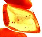 34.20 Cts. Natural Genuine Old Baltic Amber Untreated Certified Gemstone