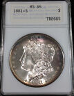 1881 S Morgan Silver Dollar MS 65 ~OLD ANA HOLDER~ Color Toning ANACS !