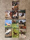 Breyer Model Horse Holiday  Catalogs Lot B