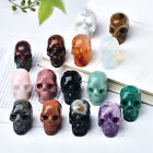 New ListingNatural Quartz Crystal Carved Skull Healing Stone Skeleton Decor Collection Gift
