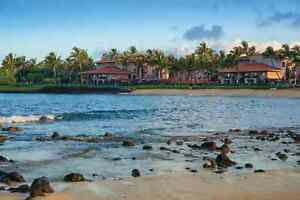 NOV 1st-8th Poipu Beach, Kauai, Hawaii at Marriott's Waiohai Oceanfront Resort