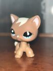 Littlest Pet Shop FAKE INAUTHENTIC #1170 Brown White Shorthair Cat Blue Dot Eyes
