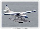 De Havilland Canada DHC-3 Otter issue 4 Aircraft