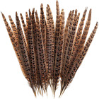 20Pcs Natural Pheasant Feathers - Pheasant Tail 8-11Inch(21-28Cm) for DIY Decora