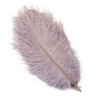 10Pcs Sexy Natural Ostrich Feather 15-50CM For Craft Wedding Party Decoration