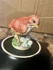 Cardinal By Andrea By Sadek Porcelain Bird Figurine 6350 Red Baby Bird Flower