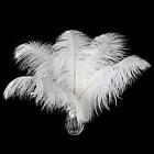Ballinger Champagne Ostrich Feathers Bulk - 24pcs 10-12inch  Assorted Colors
