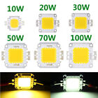 LED Chip COB Light High Power SMD Bulb 100W 50W 70W 30W 20W 10W Floodlight Lamp