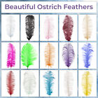 35-60cm Large Ostrich Feathers Christmas Party Ornament Costume Craft Long Plume
