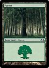 4x MTG Forest (30) (Elves vs Goblins), NM-Mint, English Duel Decks: Anthology