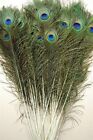25 Pcs PEACOCK TAILS Natural Feathers 25